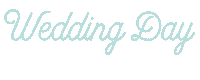 Wedding Pvp Sticker by Paige Vaughn Photo