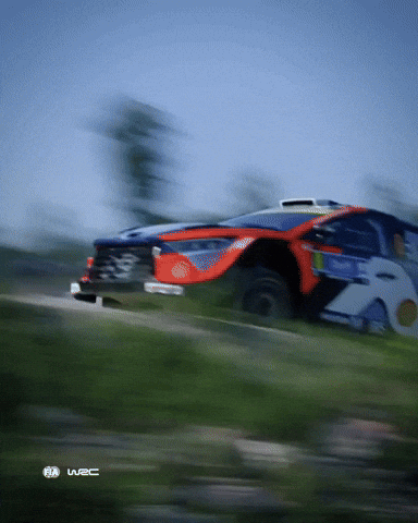 Estonia Flying Car GIF by FIA World Rally Championship