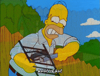homer simpson GIF
