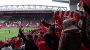 lfc football soccer fans premier league GIF