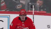 Carolina Hurricanes Smile GIF by NHL