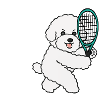 Dttennis Sticker by DT