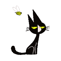 levraicolonelmoutarde cat bee blackcat cmoutarde Sticker