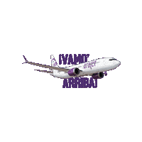 arajetairlines plane rd avion dominicano Sticker