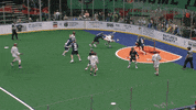 NewYorkRiptide new york lacrosse nll riptide GIF