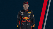 ver formula 1 GIF by Red Bull Racing