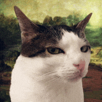 Cat Leonardodavinci GIF
