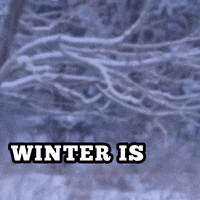 Winter Is Coming GIF