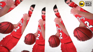 Msummbb GIF by MSUM Dragons