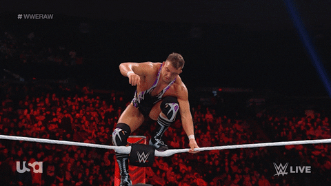 Wwe Wrestling GIF by USA Network