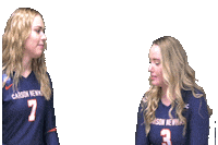 C-N Volleyball Sticker by Carson-Newman Athletics