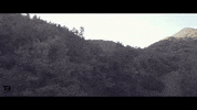 Video Cinema GIF by TheFactory.video