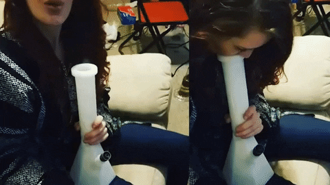 WeedNation giphyupload weed cannabis bongs GIF