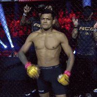 Aca GIF