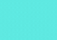 Ffl GIF by Federica Constantini