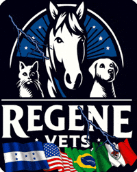 Vets Biotecnologia GIF by Regenevets