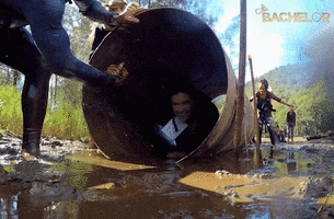nick cummins rose GIF by The Bachelor Australia