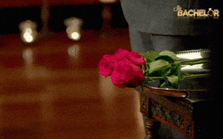 nick cummins bachelor au GIF by The Bachelor Australia