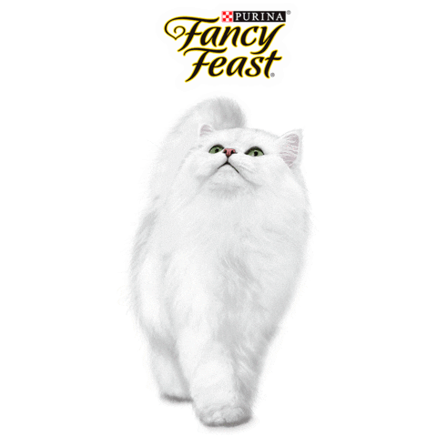 cat Sticker by PURINA CAM