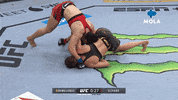 Fight Smash GIF by MolaTV