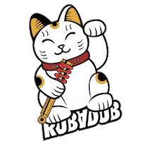 cat good luck Sticker by Rubadub Media