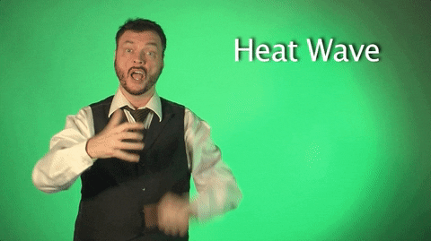heat wave asl GIF by Sign with Robert