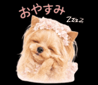 Dog Sleep GIF