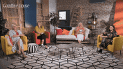 Laugh Lol GIF by Stellify Media