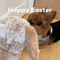 Dog Easter GIF