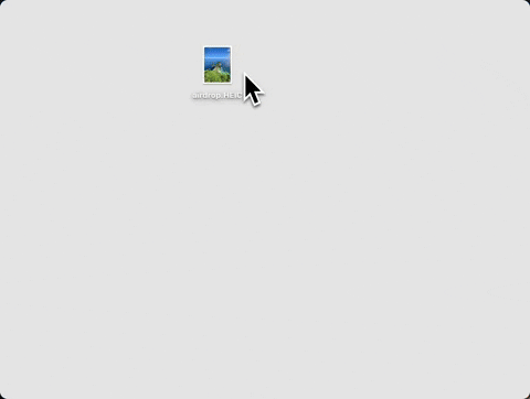 vojtabhm giphyupload GIF