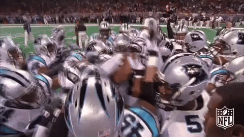 keep pounding carolina panthers GIF by NFL