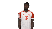 Bayern Munich What Sticker by Bundesliga