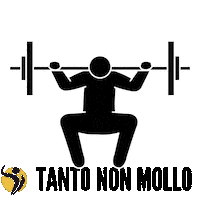 Gym Squat Sticker by Champion Training Sanda Martial Art