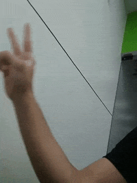 florienfitoativos  GIF