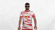 Oh Yeah Yes GIF by RB Leipzig