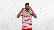 Mr Cool Football GIF by RB Leipzig
