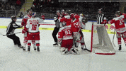 red bull fight GIF
