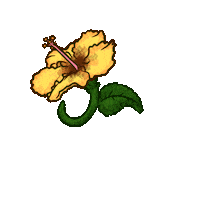 Animated Sticker
