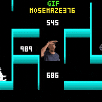 Maze 376 Mose GIF