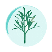 HelenaRubinsteinwwd skincare cream serum premium Sticker