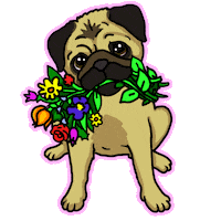 Dog Puppy Sticker by Livia Farkas @ urban:eve