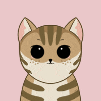 Cat GIF