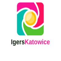 Katowice Sticker by igerspoland