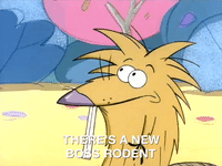 nickrewind nicksplat angry beavers GIF