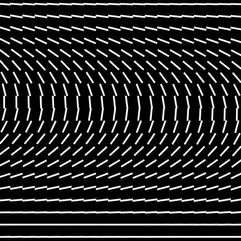 geometry lines GIF by partyonmarz