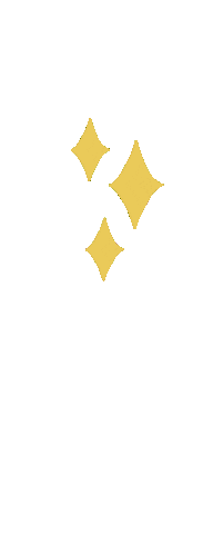 Flash Shine Sticker