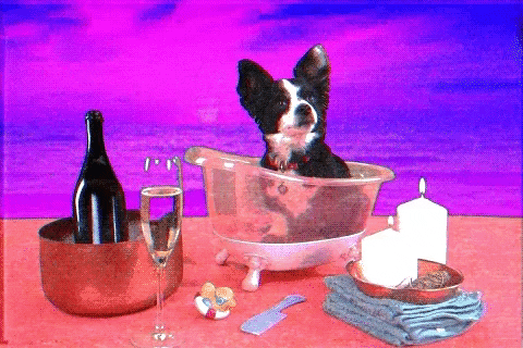 GIF by baddoggwoofwoof
