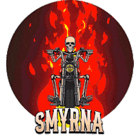 Bike Skull Sticker by Rommel Harley-Davidson