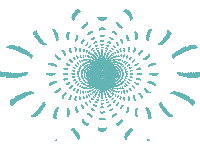 Deichbrand2022 Sticker by DEICHBRAND Festival