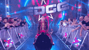 Sport Wwe GIF by USA Network